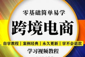 电商入门培训视频教程、电商入门培训视频教程大全