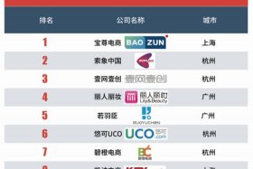 电商代运营公司（电商代运营公司100强）