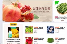 水果电商现状及前景，水果电商现状及前景怎么写