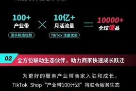 跨境电商平台tiktok，跨境电商平台TikTok商务计划书