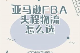 做亚马逊一年赚300万多吗，做亚马逊一年赚了60万