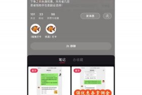 淘宝大学入口在哪，淘宝大学在哪儿