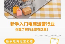 新手如何做电商导购、做电商技巧