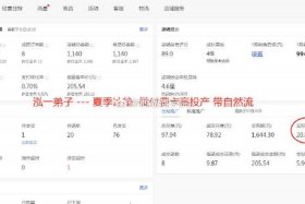 什么是电商？电商怎么做，怎么开拼多多网店