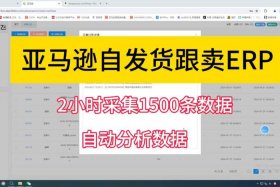 亚马逊erp试用、亚马逊erp软件有哪些软件