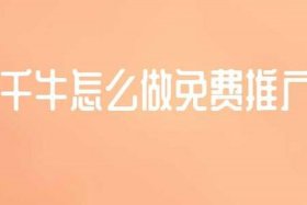 千牛引流推广怎么花费比较划算（千牛引流什么意思）