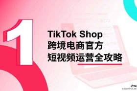 tiktok跨境电商代运营公司；tiktok 跨境社交电商