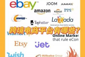 乐天跨境电商平台怎么开店（乐天跨境电商平台怎么开店赚钱）