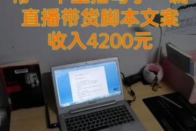 如何直播卖货新手入门教程；直播卖货技巧与方法