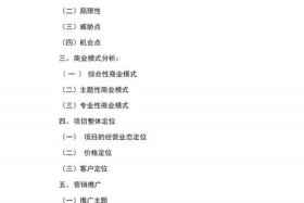 店铺运营方案策划模板（店铺运营策略）