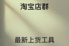 投资100万开网店、开100家网店