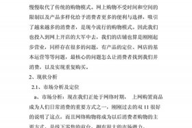 淘宝店铺营销策划书，淘宝店铺营销策划书模板