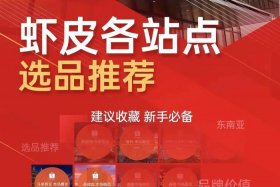 虾皮跨境电商官网马来西亚 虾皮跨境电商马来站好做吗