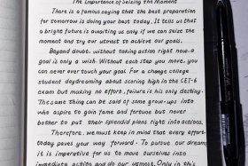 如何成为一名优秀的电商人 - 如何成为一名优秀的电商人英语作文