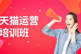 天猫店铺运营 - 天猫店铺运营培训