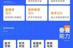 店铺代运营按效果付费（店铺代运营销售好做吗）