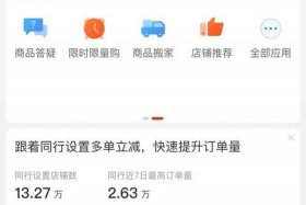 怎样开网店新手拼多多（怎样开网店新手拼多多赚钱）