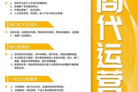 正规的淘宝店铺代运营服务；淘宝店铺代运营是做什么的