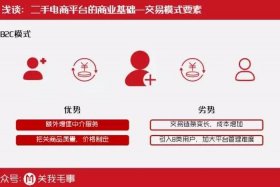 电商平台营销的优势包括、电商平台营销模式的创新和优势