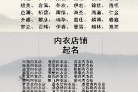 淘宝店铺取名 - 淘宝店铺取名字大全免费