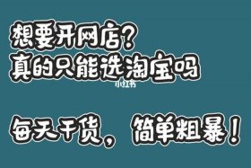 网上开店哪个平台好、网上开店哪个平台好一点