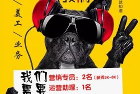 淘宝运营助理招聘（高薪淘宝运营助理包吃住）