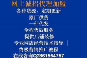 开网店哪个平台可靠一点（开网店哪个平台可靠一点呢）