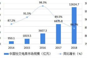 电商行业的发展前景期望怎么写（电商行业未来发展的畅想）