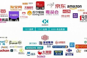 京东代运营是怎么合作的，京东店铺代运营公司排行榜