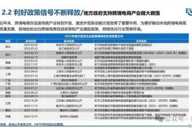 国内最大跨境零售电商平台；国内最大跨境零售电商平台排名