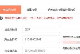 淘宝店铺如何增加流量和访客 - 淘宝店铺怎么增加访客量