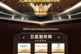 淘宝火蝠代运营销售怎么样（火蝠电商）