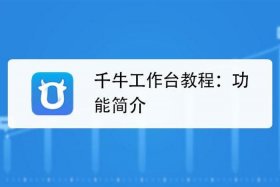 千牛代运营（千牛代运营可靠吗）