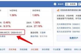 10元小投资平台买，10元投资软件是真的吗