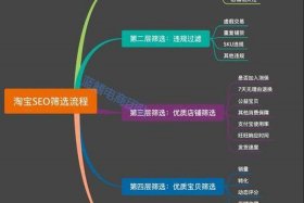 网店运营推广高级实训攻略及流程 网店运营推广中级实训关键词筛选