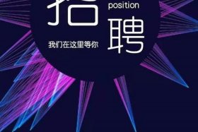 上海电商运营招聘 - 上海招聘电子商务