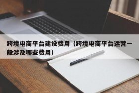 做跨境电商网店要准备什么（做跨境电商需要）