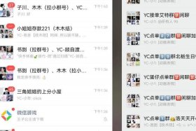 陪玩接单平台；王者陪玩接单平台