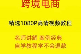 电商基础入门教程视频、电商入门教学
