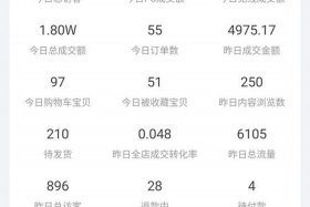 怎么开店铺爆单；淘宝新店爆单案例