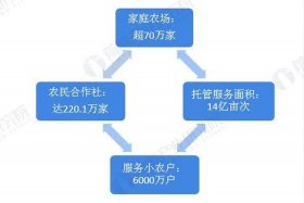 电商的发展趋势与未来农村特色；农村电商发展的积极变化包括