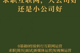 运营公司是做什么的 - 运营公司是做什么的呢