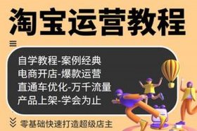 电商教学入门零基础 电商基础入门教程视频