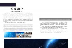 电商公司简介概述 电商公司简介宣传册