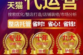 商家代运营是什么，商家代运营是什么行业