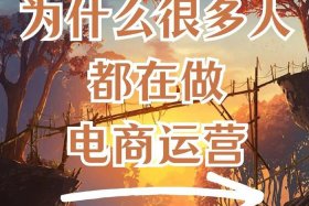 为什么很多人拒绝做电商、为什么很多人拒绝做电商行业
