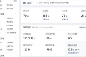 拼多多网店代运营要多少费用？运营费用大揭秘；拼多多代运营收费标准