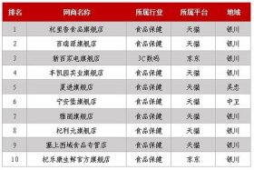 电商网店运营公司排名（网店运营公司哪家好）