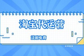 淘宝运营商赚钱吗、淘宝店铺运营商