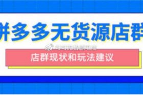 无货源电商群（无货源电商群名称）